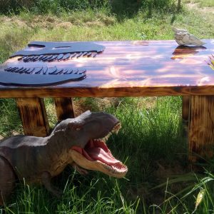 101001369_126585335708202_9083673342174560256_o